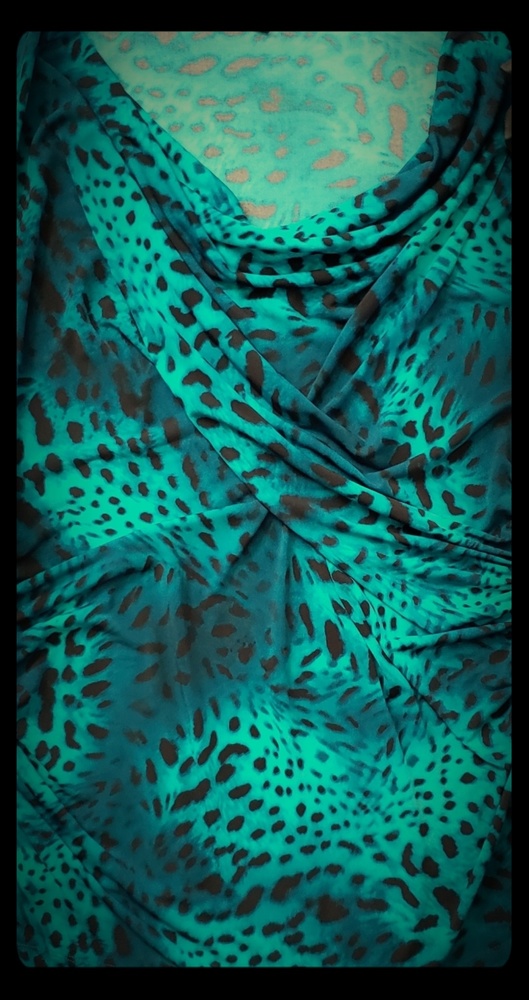 Chaus leopard print blouse